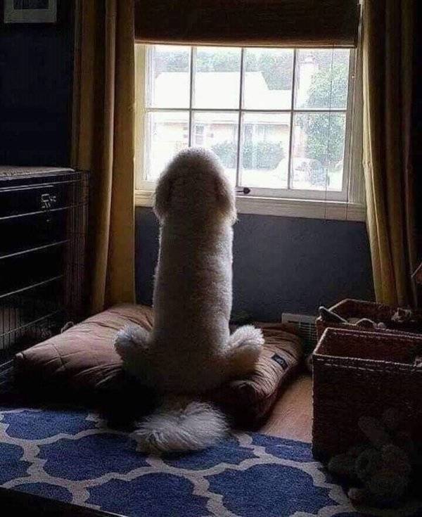 Perspective Can Deceive You