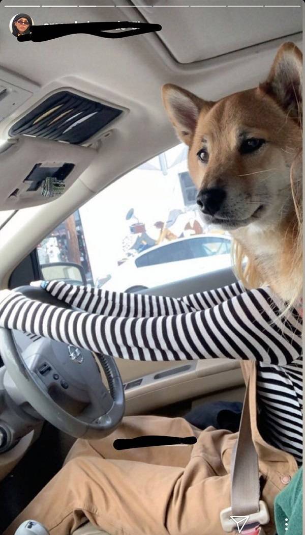 Perspective Can Deceive You