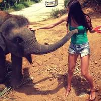 spiciest photos from avn adult entertainment expo 2020 38 pics.html - 38 HD Photos | Premium Gallery 2020