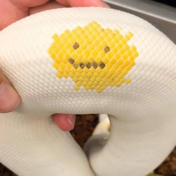 daily picdump 96 pics 7.html - 96 HD Photos | Premium Gallery 2020