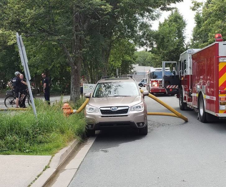 daily picdump 96 pics 7.html - 96 HD Photos | Premium Gallery 2020