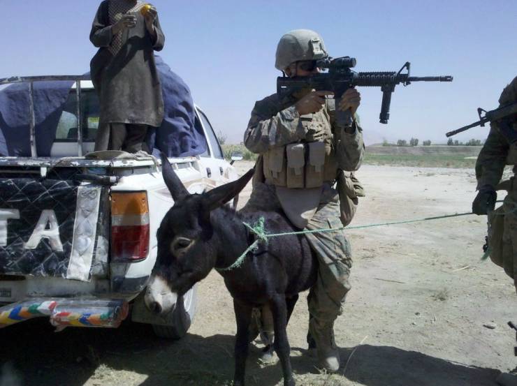 daily picdump 96 pics 7.html - 96 HD Photos | Premium Gallery 2020