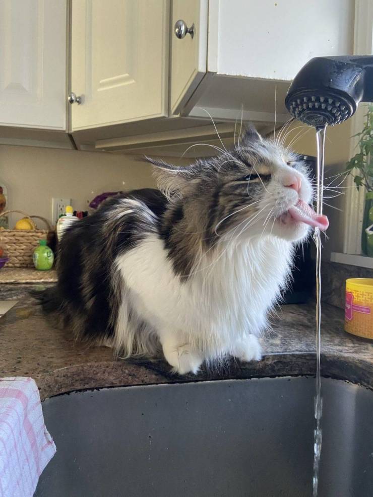 daily picdump 96 pics 7.html - 96 HD Photos | Premium Gallery 2020