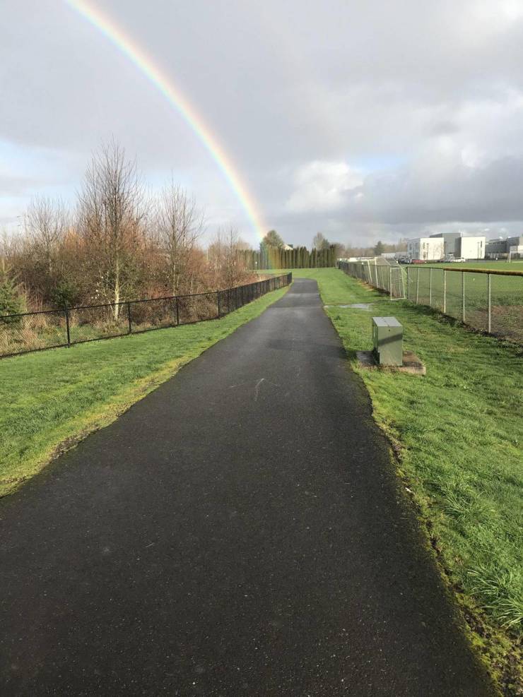 daily picdump 96 pics 7.html - 96 HD Photos | Premium Gallery 2020