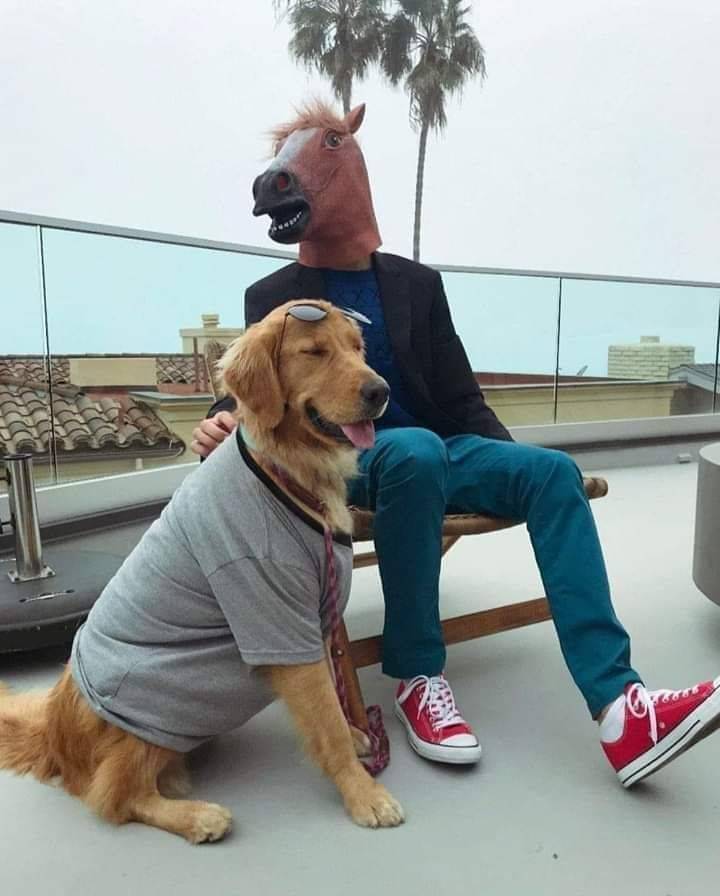 daily picdump 96 pics 7.html - 96 HD Photos | Premium Gallery 2020