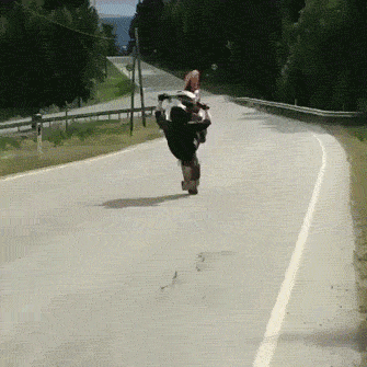 bring in the fails 28 gifs 3.html - 1 HD GIF | Premium Gallery 2020