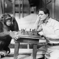 people have tried some kinky nsfw stuff 20 pics.html - 20 HD Photos | Premium Gallery 2020