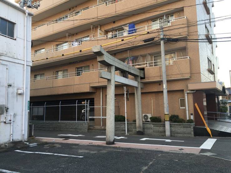 daily picdump 90 pics 2.html - 90 HD Photos | Premium Gallery 2020