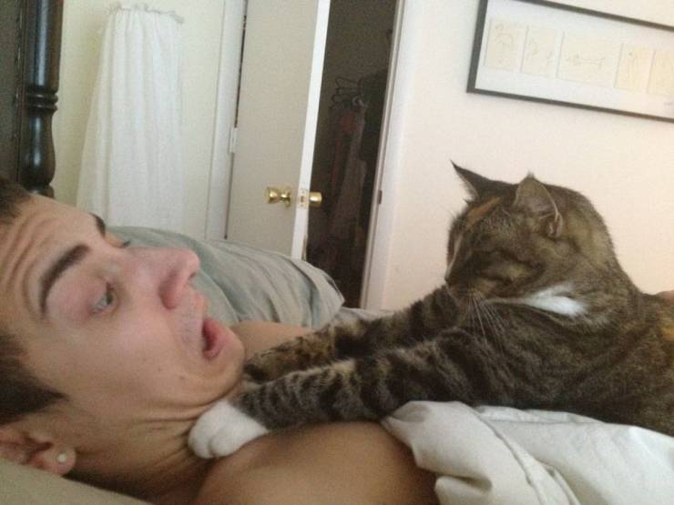 daily picdump 90 pics 2.html - 90 HD Photos | Premium Gallery 2020