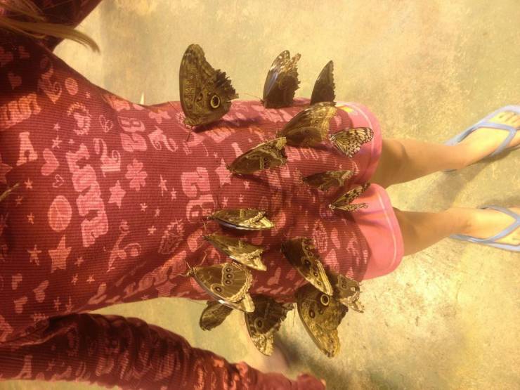 daily picdump 90 pics 2.html - 90 HD Photos | Premium Gallery 2020