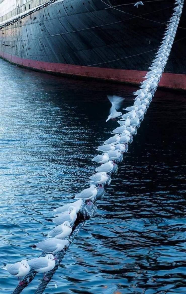 daily picdump 90 pics 2.html - 90 HD Photos | Premium Gallery 2020