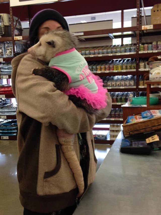 daily picdump 90 pics 2.html - 90 HD Photos | Premium Gallery 2020