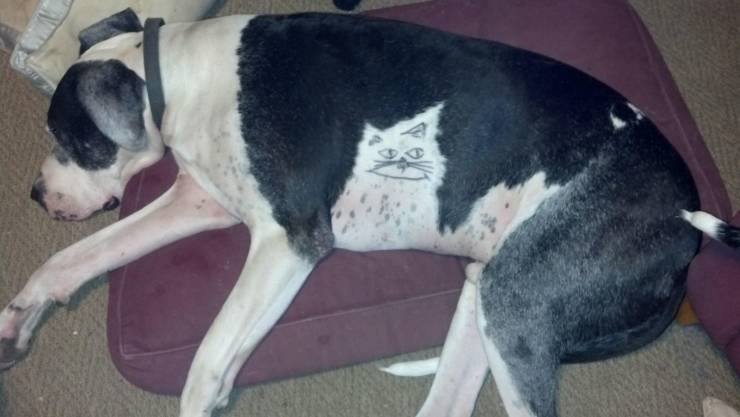 daily picdump 89 pics 4.html - 89 HD Photos | Premium Gallery 2020