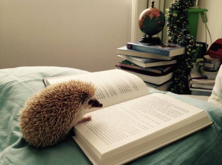 daily picdump 89 pics 4.html - 89 HD Photos | Premium Gallery 2020