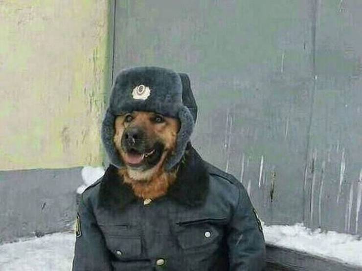 daily picdump 89 pics 4.html - 89 HD Photos | Premium Gallery 2020