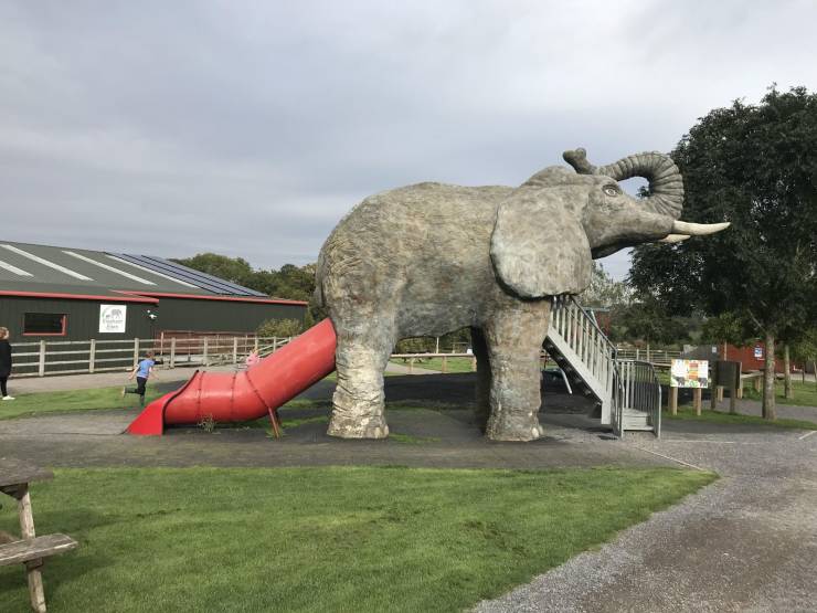 daily picdump 89 pics 4.html - 89 HD Photos | Premium Gallery 2020