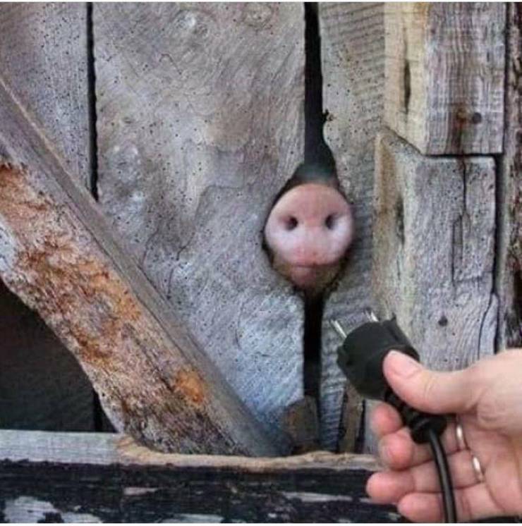 daily picdump 89 pics 4.html - 89 HD Photos | Premium Gallery 2020