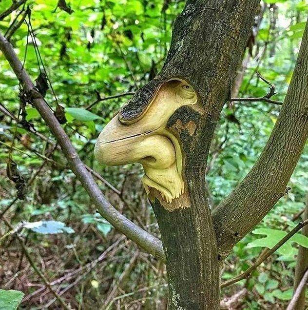 daily picdump 89 pics 4.html - 89 HD Photos | Premium Gallery 2020