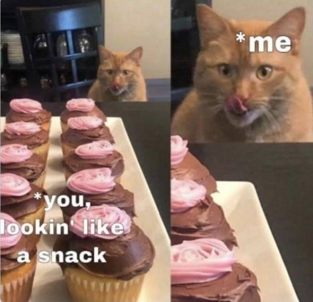 Dirty Mind, Come Here!