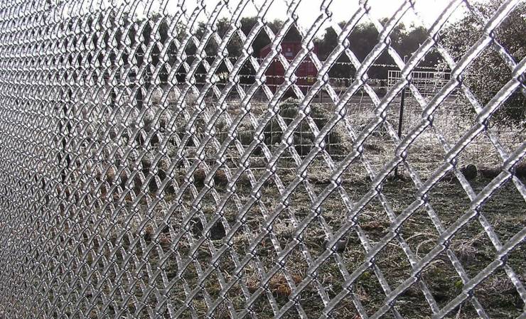 daily picdump 95 pics 2.html - 95 HD Photos | Premium Gallery 2020