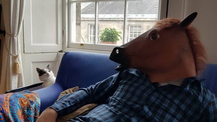 daily picdump 95 pics 2.html - 95 HD Photos | Premium Gallery 2020