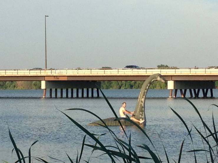 daily picdump 95 pics 2.html - 95 HD Photos | Premium Gallery 2020