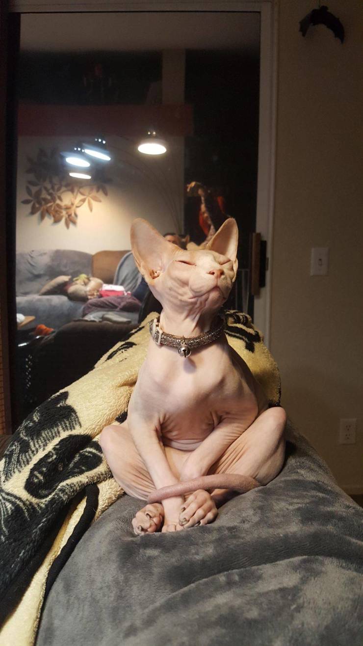 daily picdump 95 pics 2.html - 95 HD Photos | Premium Gallery 2020