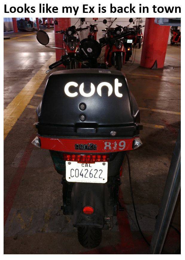 daily picdump 95 pics 2.html - 95 HD Photos | Premium Gallery 2020