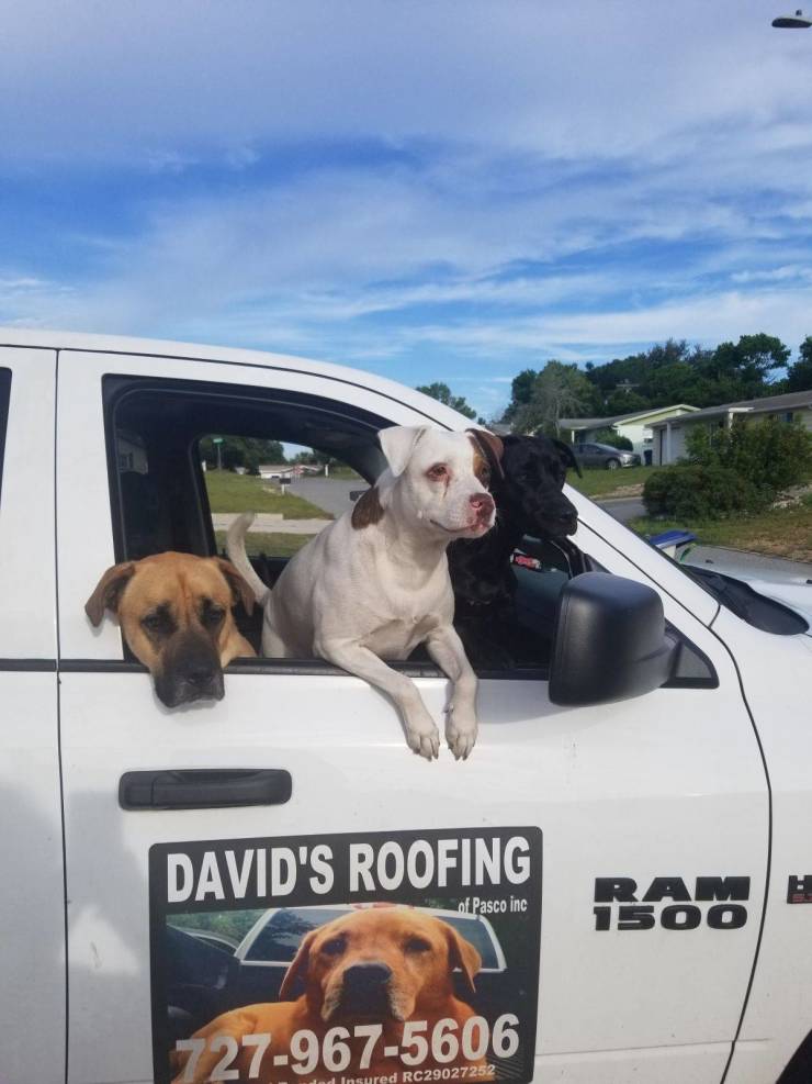 daily picdump 95 pics 2.html - 95 HD Photos | Premium Gallery 2020