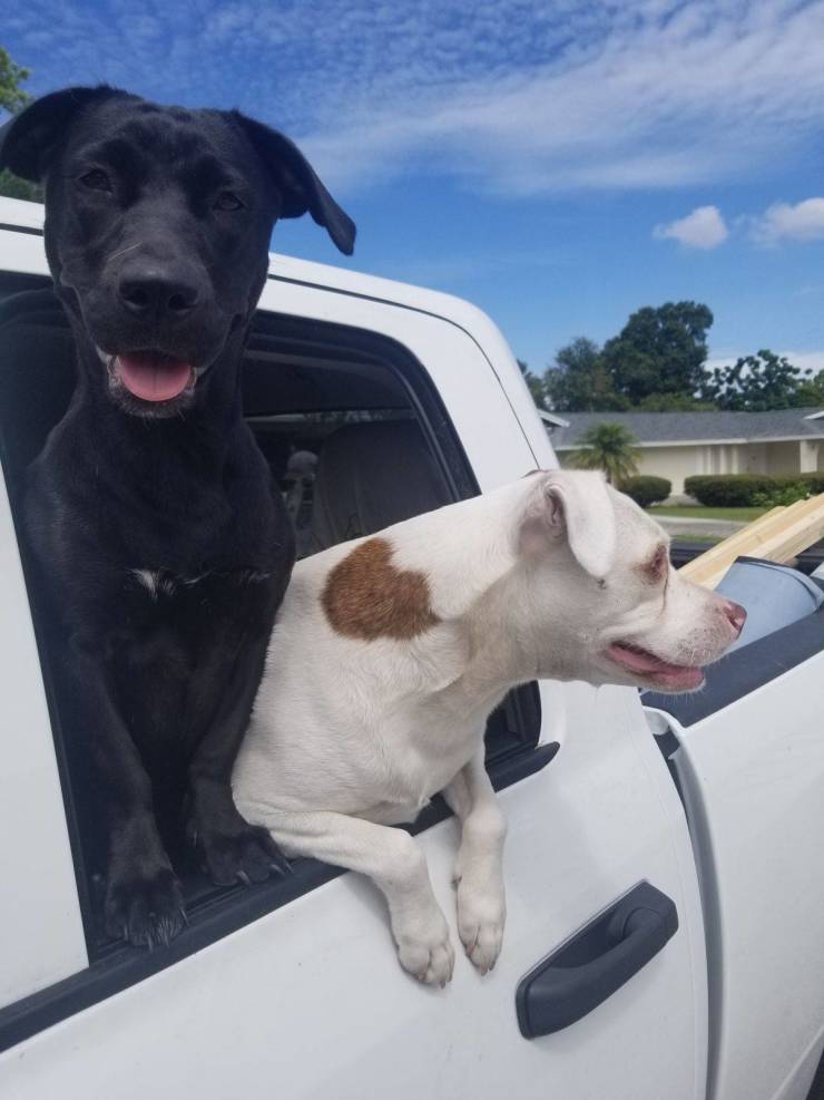 daily picdump 95 pics 2.html - 95 HD Photos | Premium Gallery 2020