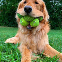 the splits girl is pretty attractive 28 pics.html - 28 HD Photos | Premium Gallery 2012