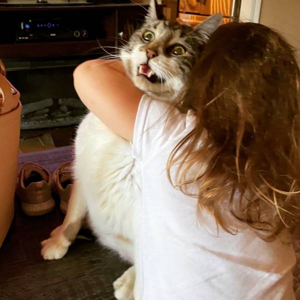 Daily Picdump [WEEKEND EDITION]