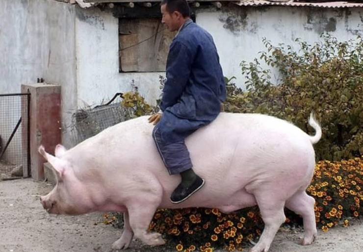 Daily Picdump [WEEKEND EDITION]