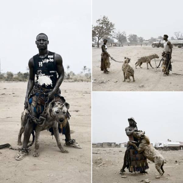 daily picdump weekend edition 75 pics 25.html - 75 HD Photos | Premium Gallery 2020