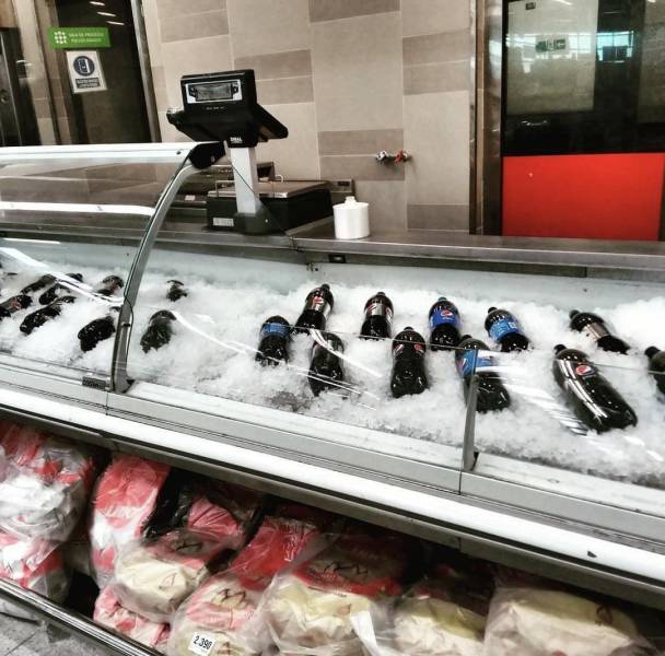 daily picdump weekend edition 75 pics 25.html - 75 HD Photos | Premium Gallery 2020