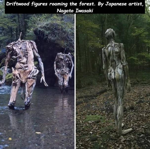 daily picdump weekend edition 75 pics 25.html - 75 HD Photos | Premium Gallery 2020