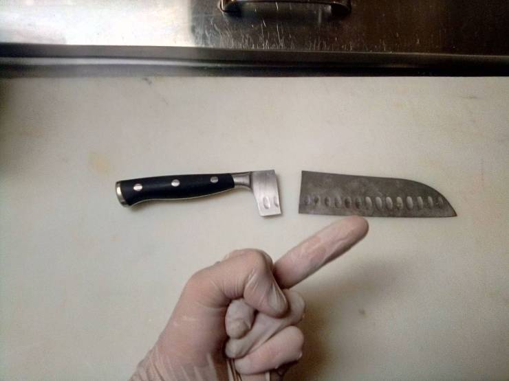 daily picdump weekend edition 75 pics 25.html - 75 HD Photos | Premium Gallery 2020