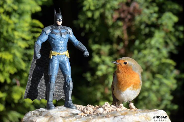 daily picdump weekend edition 75 pics 25.html - 75 HD Photos | Premium Gallery 2020