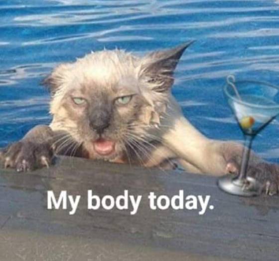 daily picdump weekend edition 75 pics 25.html - 75 HD Photos | Premium Gallery 2020