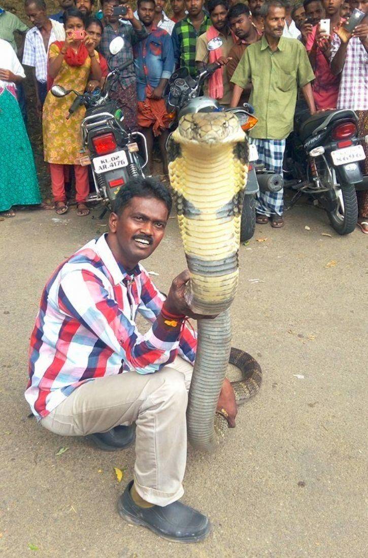 Daily Picdump [WEEKEND EDITION]