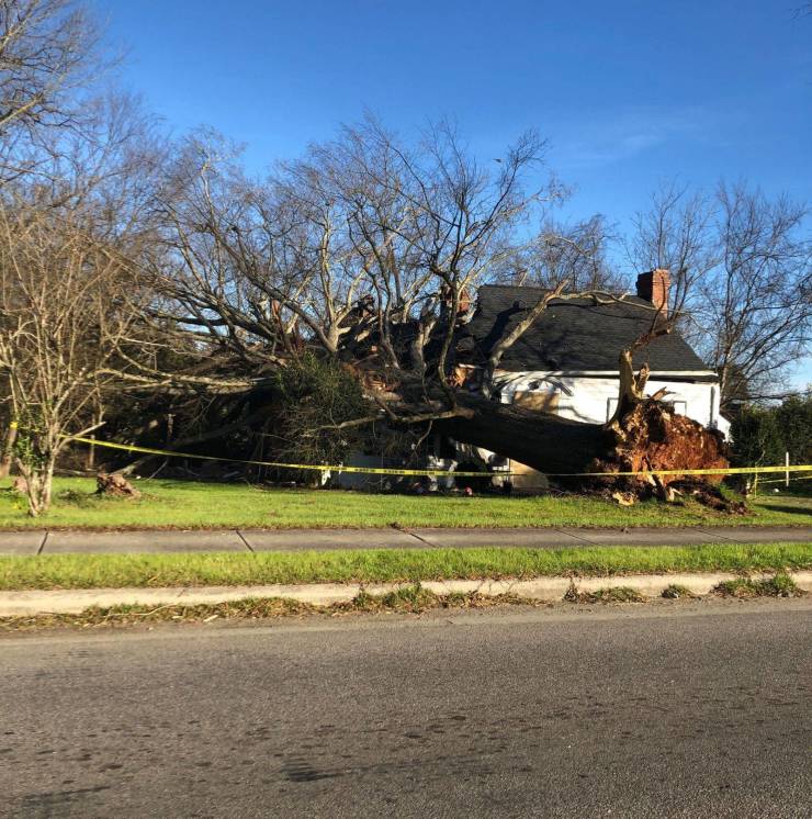 Daily Picdump [WEEKEND EDITION]