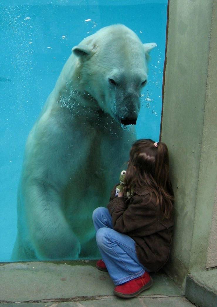 Daily Picdump [WEEKEND EDITION]