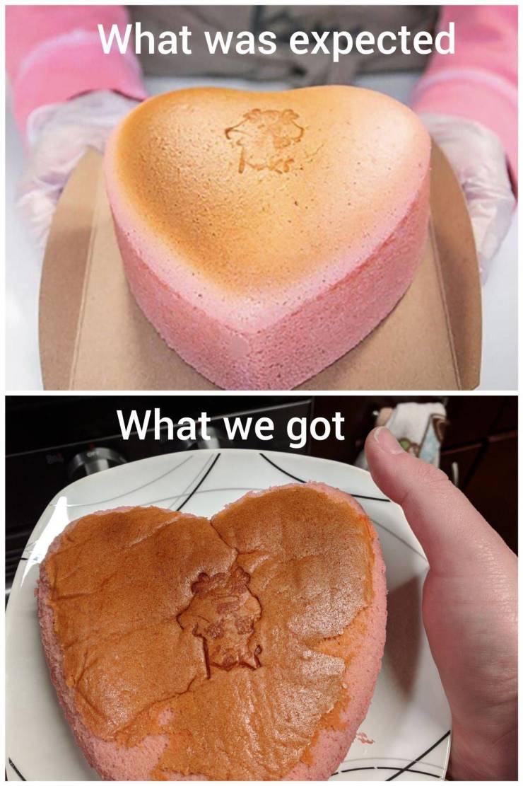 daily picdump weekend edition 75 pics 25.html - 75 HD Photos | Premium Gallery 2020