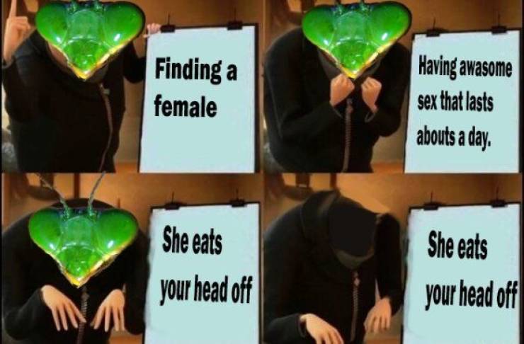 Dirty Mind, Come Here!