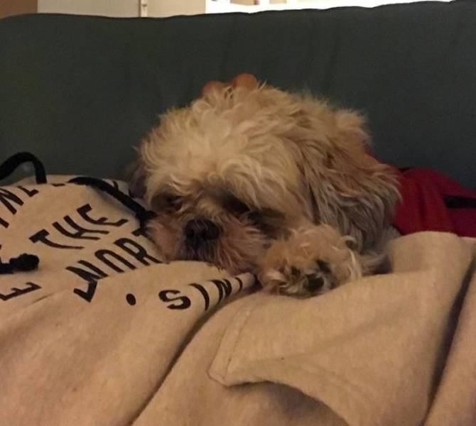 Internet Loves Unexpected Stuff!