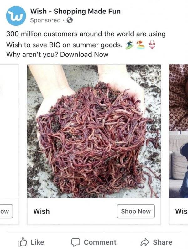 Wish.com Recommends Some Truly Twisted Stuff…