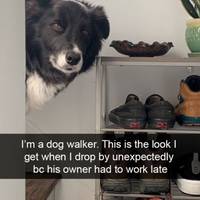 do what challenge video.html - 1 HD Video | Premium Gallery 2020