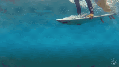surfer girls are getting ready for the season 26 gifs 12.html - 1 HD GIF | Premium Gallery 2020