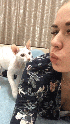 hotties fail even more 30 gifs 6.html - 1 HD GIF | Premium Gallery 2020