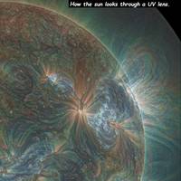 this punch bag is your ex video.html - 1 HD Video | Premium Gallery 2020